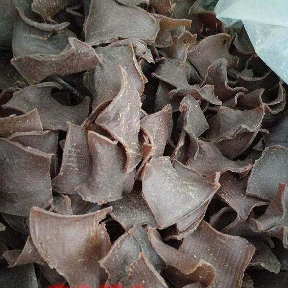 浙江泰顺特产苦株片250g苦槠豆腐片山珍南北干货农家菜