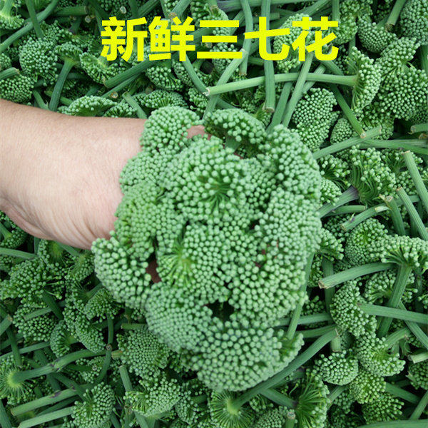 2025年新花上市三七花四年云南文山4年花茶正品500克包邮