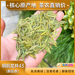 龙井43醇豆花香 甜香明前龙井茶2025年新茶高山绿茶原产地直销