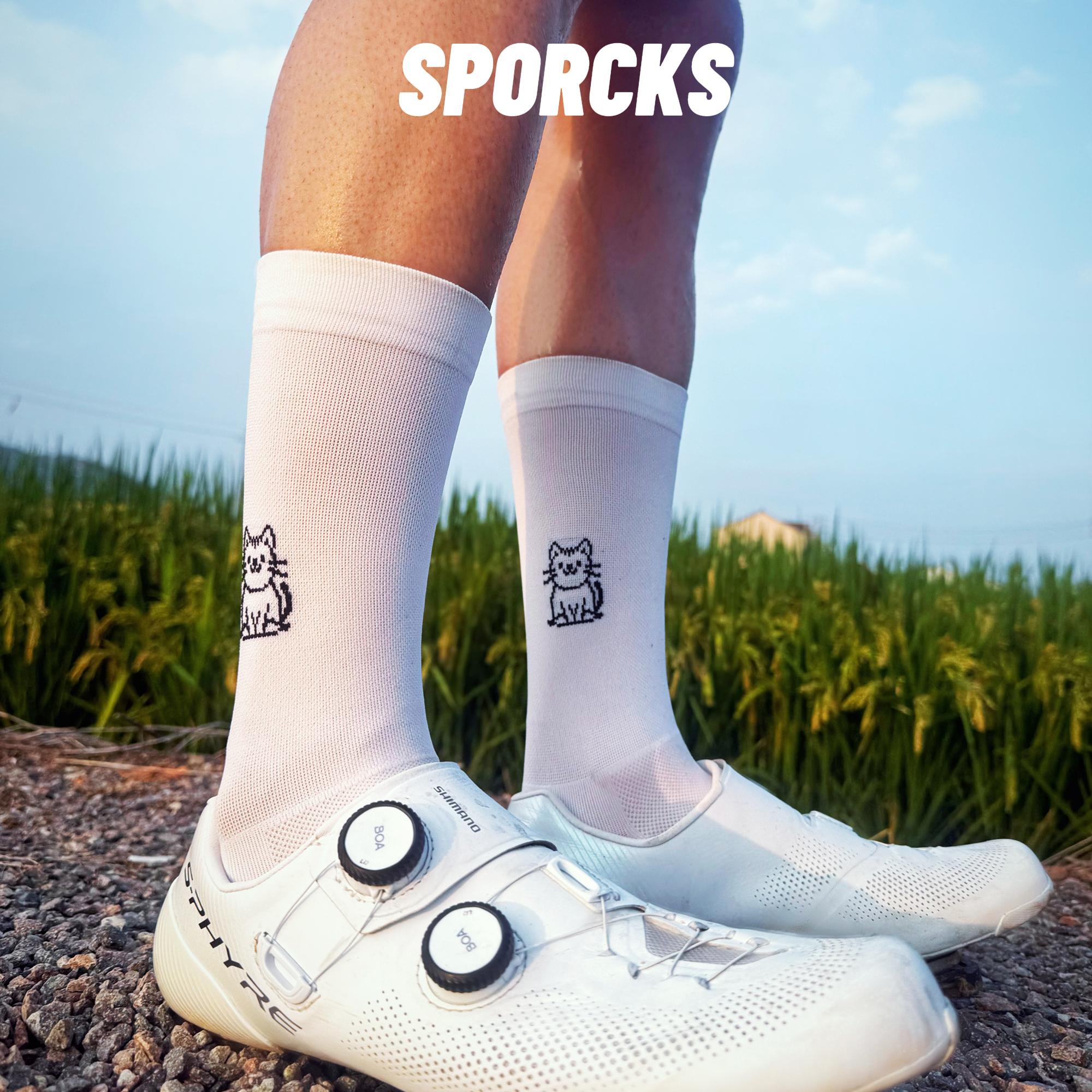 sporocks新款四季透气骑行袜