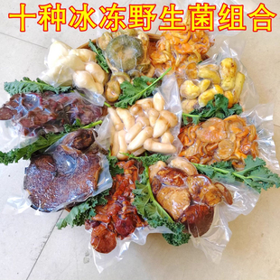 新鲜冰冻野生菌组合松茸鸡油菌白葱牛肝菌谷熟菌虎掌菌青头菌子