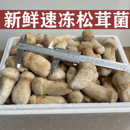 冰鲜冷急冻松茸菌1000g不加冰