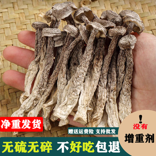 鹿茸菇干货500g家用商用菌菇特产脆脆菇煲汤食材蘑菇云南特产 包邮