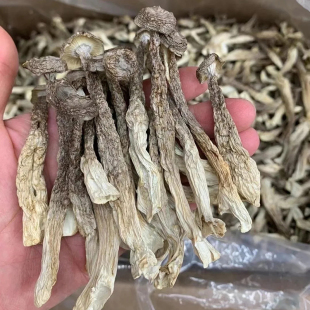 鹿茸菇干货500g 云南特产干菇菌类鹿茸菇浓香煲汤食材香菇蘑菇 包邮