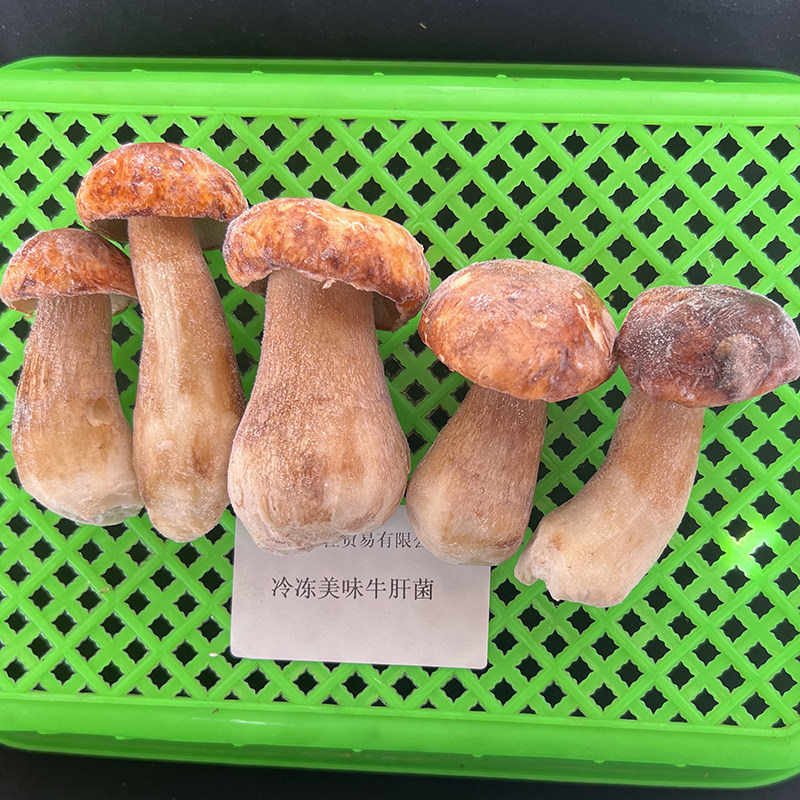 美味牛肝菌冰鲜冷冻速冻白牛肝菌大脚菇顺丰空运野生菌不加冰开票