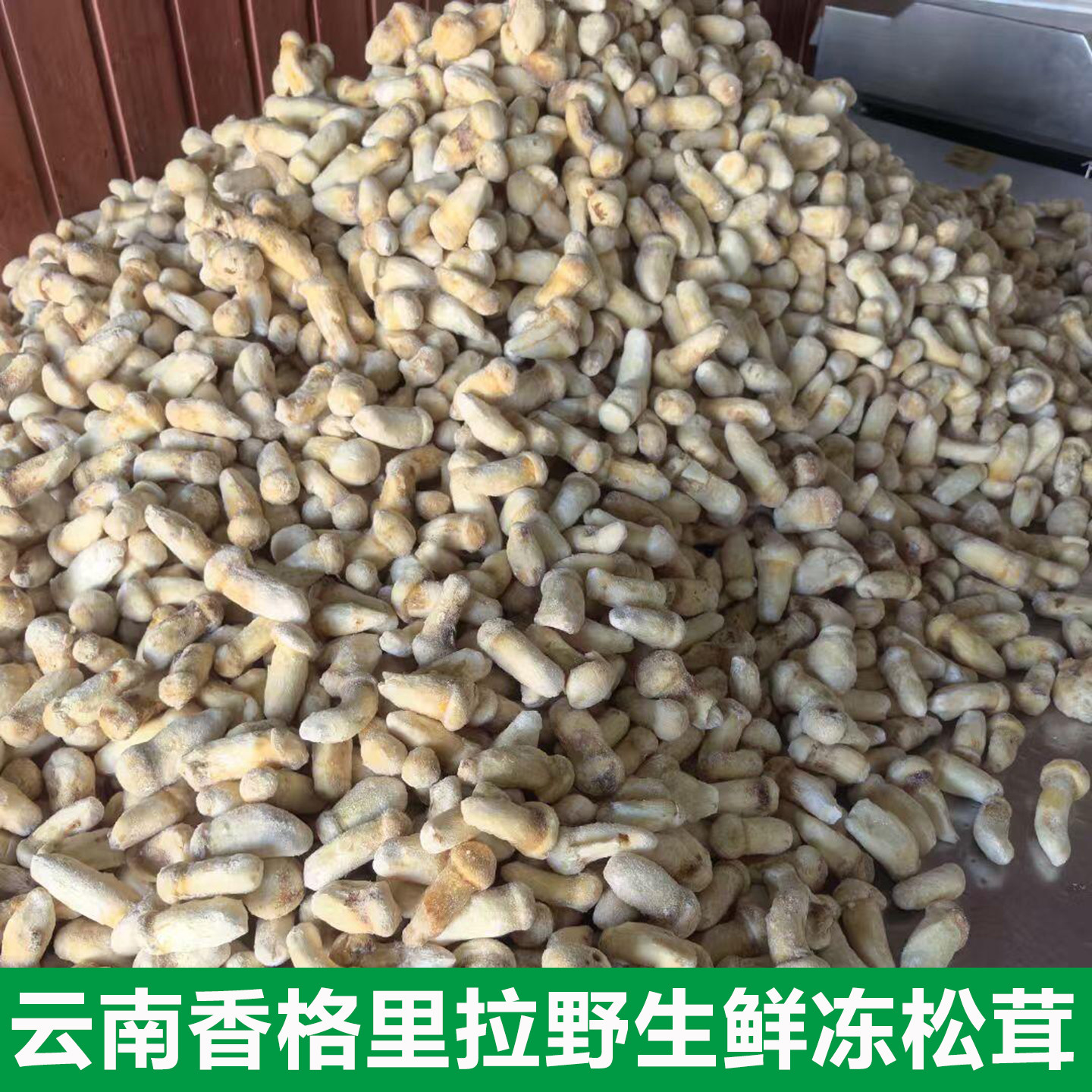 2025云南冰鲜冷冻速冻松茸野生蘑菇冻鲜整个鲜急冻餐饮酒店素食店