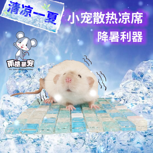 仓鼠夏季降温用品凉板散热板花枝鼠凉席松鼠冰垫冰床降暑消暑用品