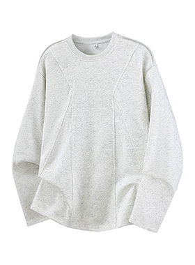 2000件华棉320g2026春款新款设计感宽松长袖拉链T恤 3D T2603 P25