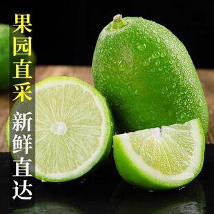 海南香水柠檬子弹头长柠檬青黄柠檬酸水果产地果园新鲜现摘整箱