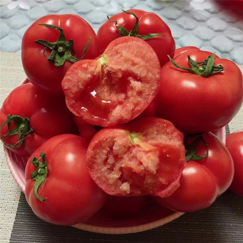 陕西省普罗旺斯现采现发新鲜水果西红柿精品大果包邮