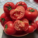 陕西省普罗旺斯现采现发新鲜水果西红柿精品大果 包邮