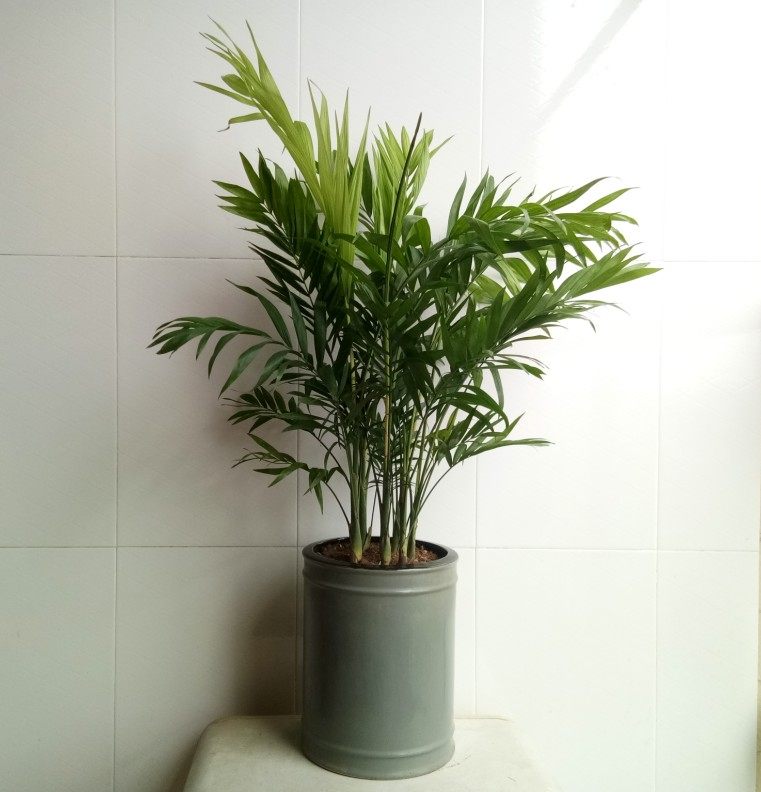 陶瓷浅灰色大号字画收纳筒水缸鱼缸花瓶花插绿植家居摆设大花盆