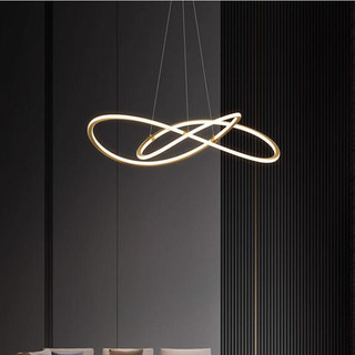 全铜极简轻奢客厅吊灯现代简约大气餐厅卧室北欧新款创意环形灯具