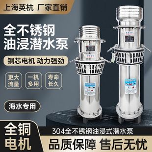 不锈钢轻便油浸泵三相潜水泵380v鱼塘大流量农田灌溉海水农用水泵