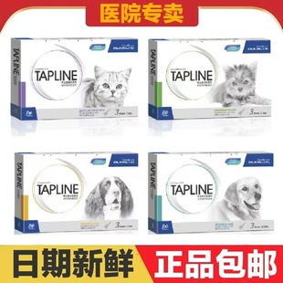埃尔金早立安滴剂猫狗宠物体外用驱虫日常护理保健