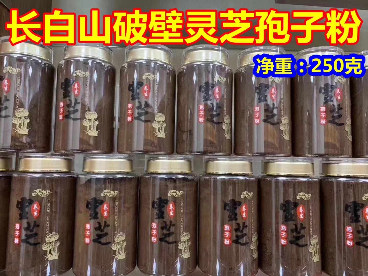 长白山灵芝孢子粉破壁新全国包邮
