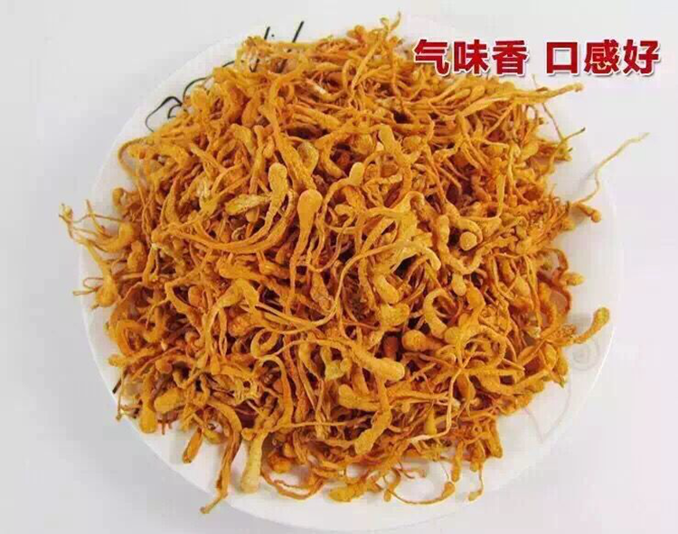 虫草花正品特级北虫草刨子头精选农家蛹虫草干货金北虫草花500克