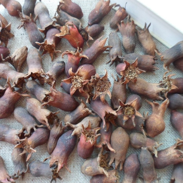 天然石榴果实 石榴花干花6个12个 果实自然风干 道具摆件 拍照
