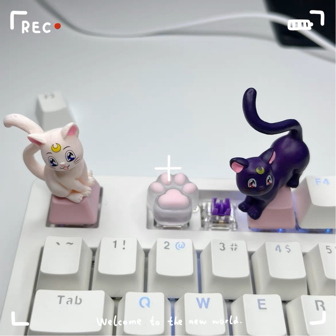 DIY个性卡通猫咪键帽立体R4 ESC 十字轴可爱游戏机械键盘键帽