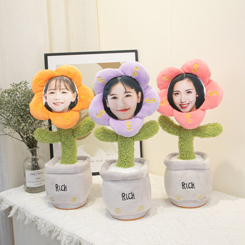 搞笑玩具diy定制可印照片人脸