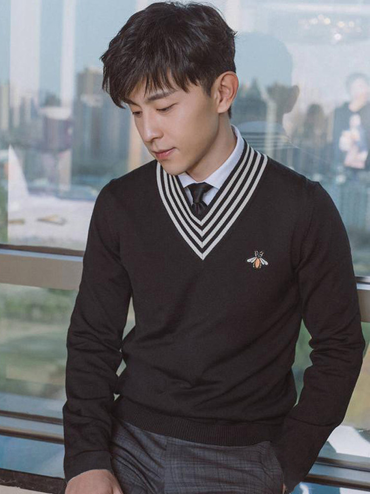 남성용 캐시미어 스웨터 100 순수 캐시미어 V 넥 가을 겨울 신작 풀오버 작은 꿀벌 자수 남성용 루즈 캐시미어 스웨터