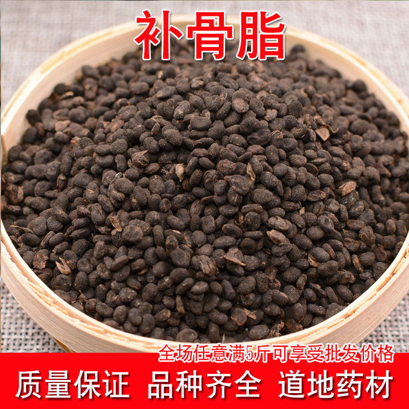 中药材补骨脂500g 胡韭子 婆固脂 胡非子 破故纸散装中药材包邮