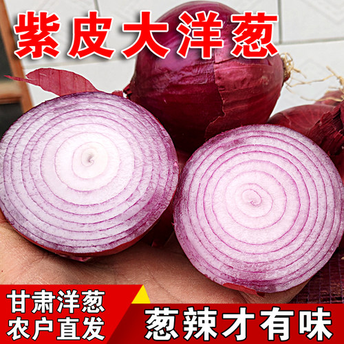 甘肃紫皮洋葱脆甜微辣新鲜蔬菜