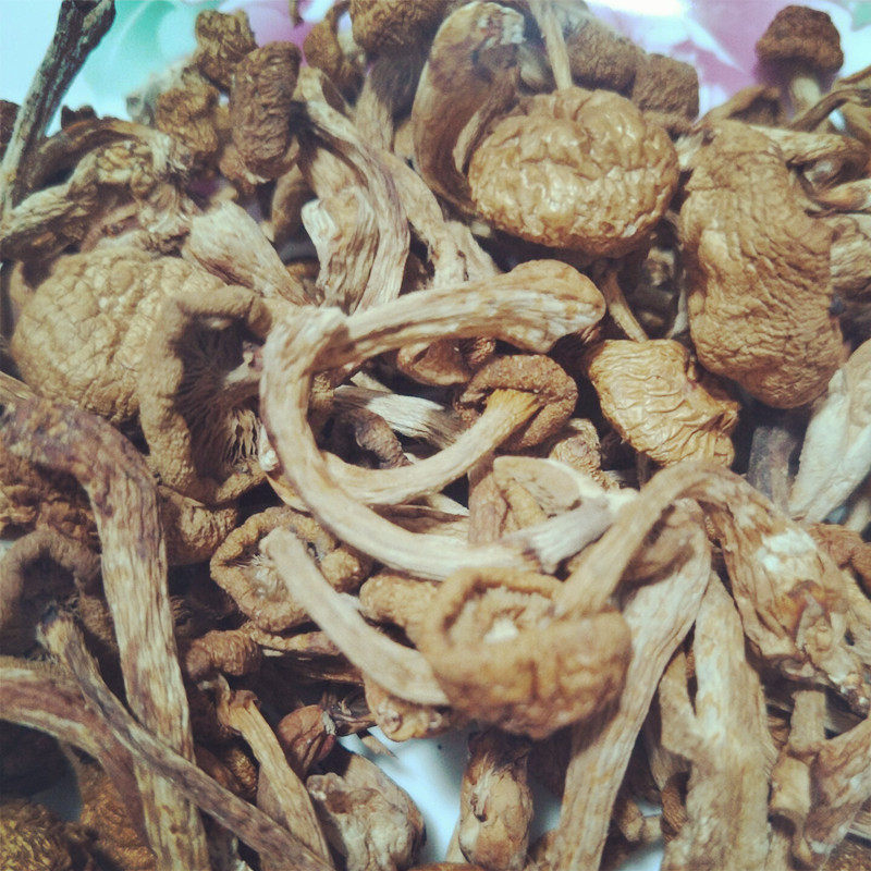 新货东北长白山特产纯野生滑子菇小兴安岭山特产干货特级滑子菇