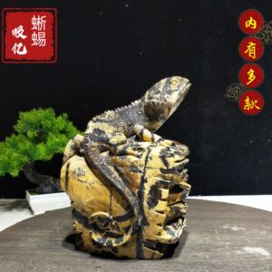 奇石家居摆件雕刻蜥蜴高档送礼