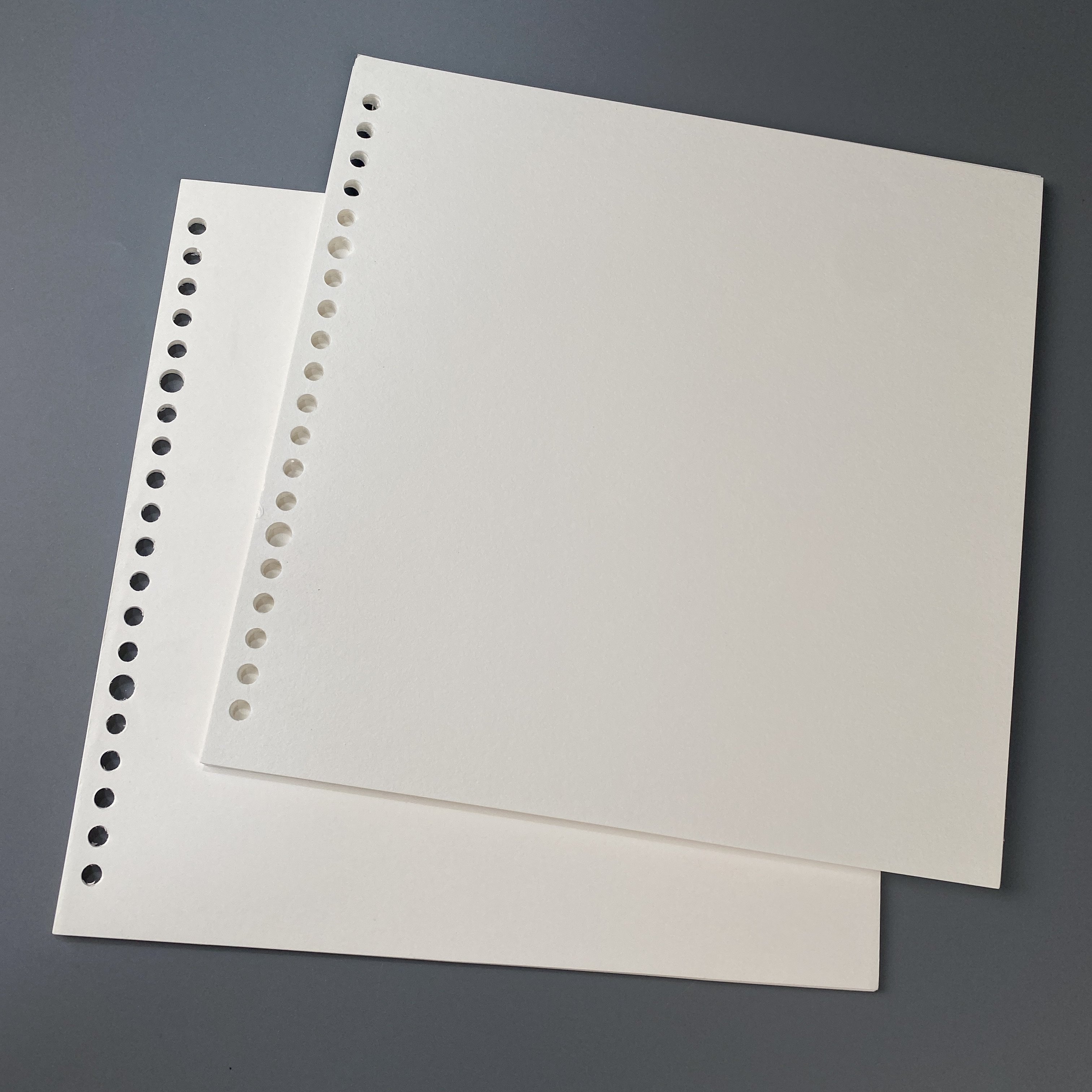 定制画纸，21x21cm，20孔，含彩色塑料环，