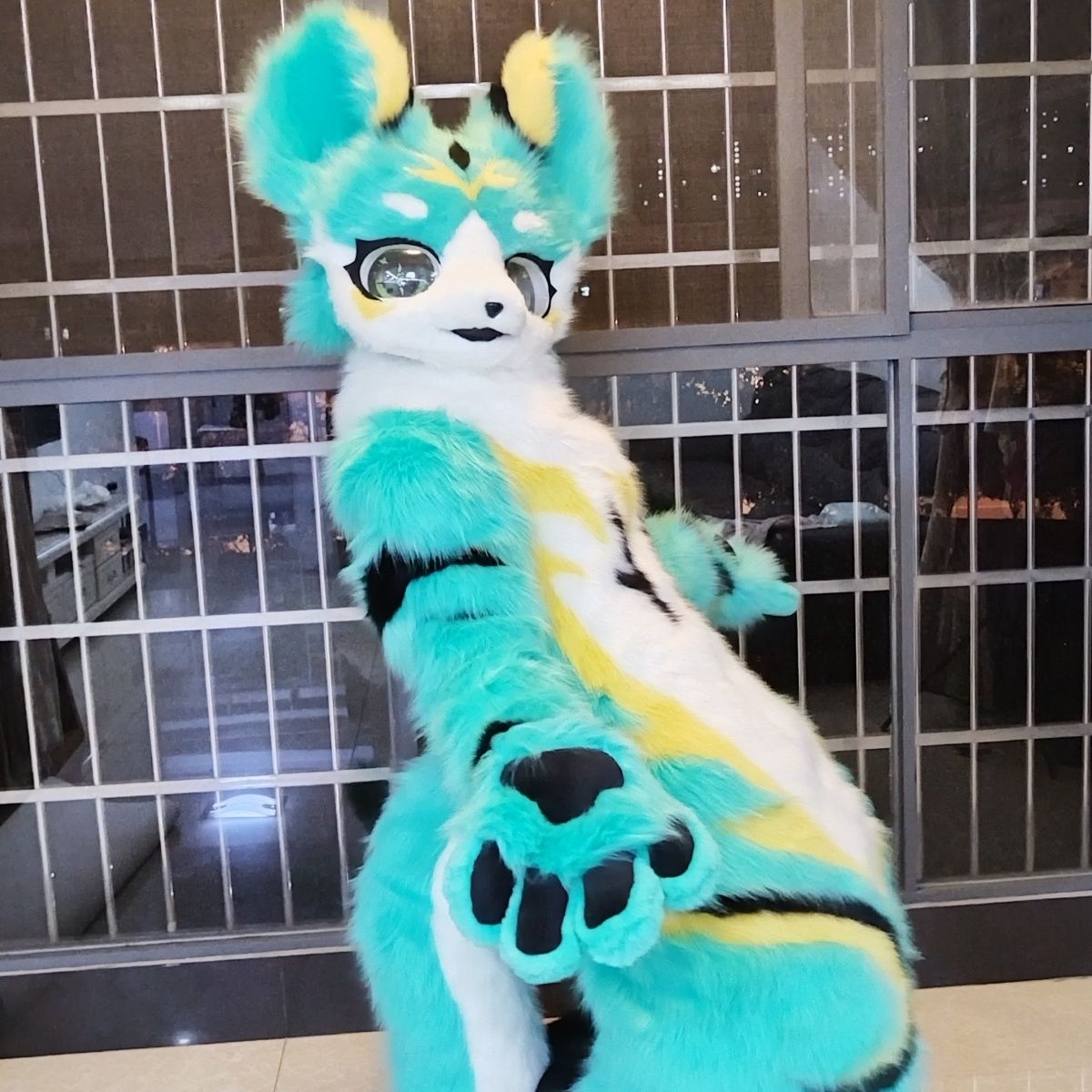定制中大码兽装fursuit穿戴可爱演出漫展福瑞全套兽人装扮cos服饰
