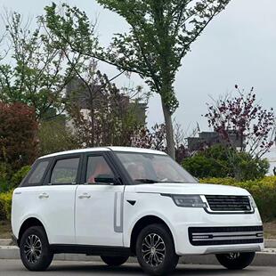 电动四轮汽车路虎男女代步送娃上班高端小型家用无驾照带棚休闲门