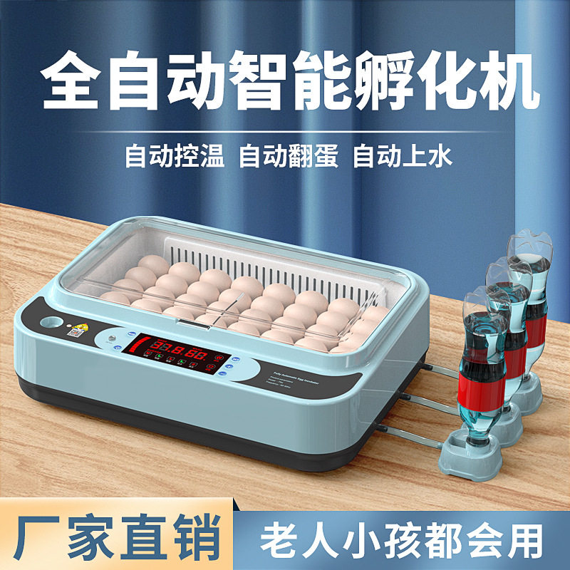 孵化机智能孵化箱小型家用孵化器小鸡鸭鹅孵化箱鸽子芦丁鸡孵蛋器