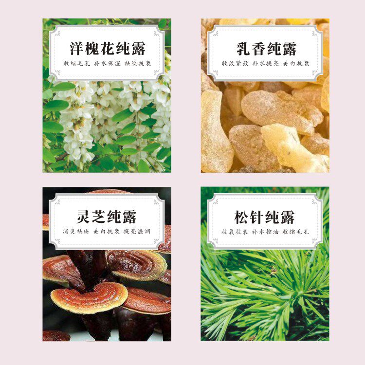 洋槐花乳香纯露不干胶定做 松针精油标签 灵芝精华液贴纸印刷设计