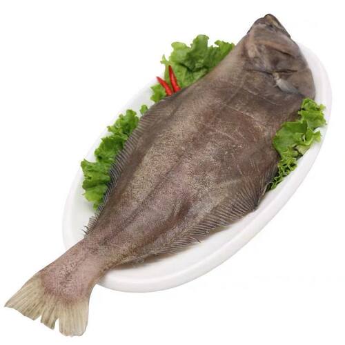 正品整条带头深海鸦片鱼比目鱼鲽鱼新鲜鲽鱼宝宝辅食冷冻水产