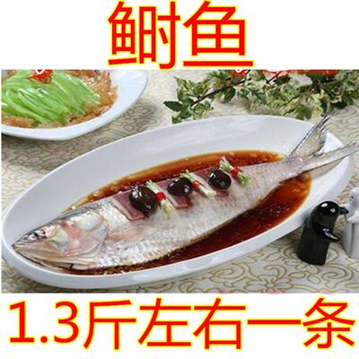 新鲜冷冻鲥鱼 鲥鱼 海鲜 1.3斤左右每条条价钱