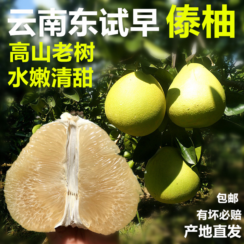 傣柚子青柚泡果丑柚云南版纳东试早白甜蜜酸新鲜农家水果当季包邮