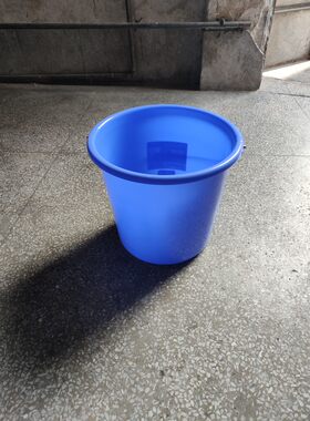 广东珠江珠塑牌大红色蓝色加厚家用水桶手提塑料桶有盖15L18L22L