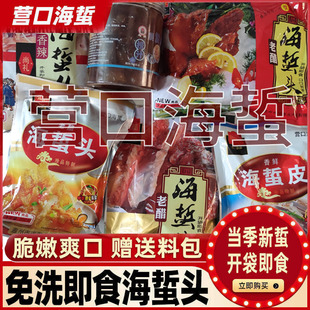营口海蜇头即食下酒菜凉拌海蜇丝辽宁渤海蜇新鲜海蜇皮下酒凉菜