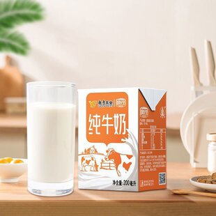 营养学生儿童正品 风行牛奶纯牛奶200ml装 早餐整箱 现货现发