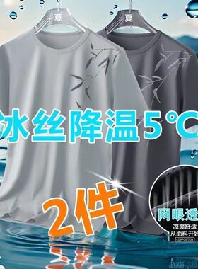 冰丝男t恤宽松加大码潮流百搭夏季2024新款圆领短袖男士透气体恤