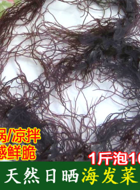龙须菜海发菜干货海菜霞浦特产