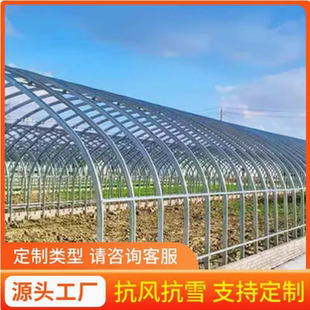 温室大棚骨架钢管养殖种植家用全套猪鸡舍钢架连栋配件简易蔬菜棚