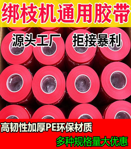 西红柿绑蔓带绑藤带结束