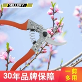 Slali Precision Steel Garden Ветвь сжимает инструменты для садоводства маленькие цветочные ножницы для дома фрукты