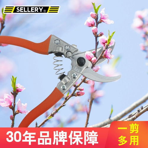 Slali Precision Steel Garden Ветвь сжимает инструменты для садоводства маленькие цветочные ножницы для дома фрукты