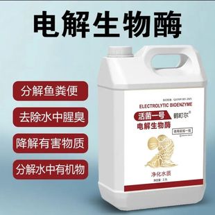 鹤町尔鲸浅蓝鳍电解生物酶鱼缸净水剂分解氨氮空气缸硝化细菌水藻