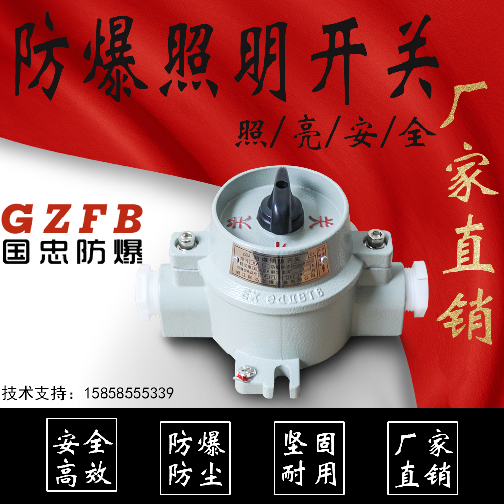 ÕýÆ·¹úÖÒ·À±¬ÕÕÃ÷¿ª¹ØSW-10 220V 380V ÂÁºÏ½ðBZM·ÀË®³¾¿ØÖÆ¿ª¹Ø
