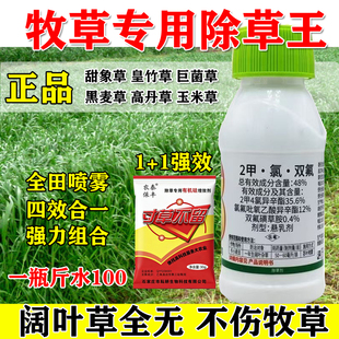 牧草甜象草高丹草牧草除草剂牧草苗后除草剂杂草烂根不伤牧草除草