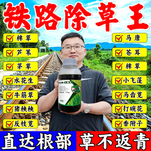 铁路公路专用锄草剂强效开荒矿区田间荒地杂草强效渗透斩草烂根